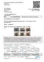 240309-VsB 24-02 Strafbescheid